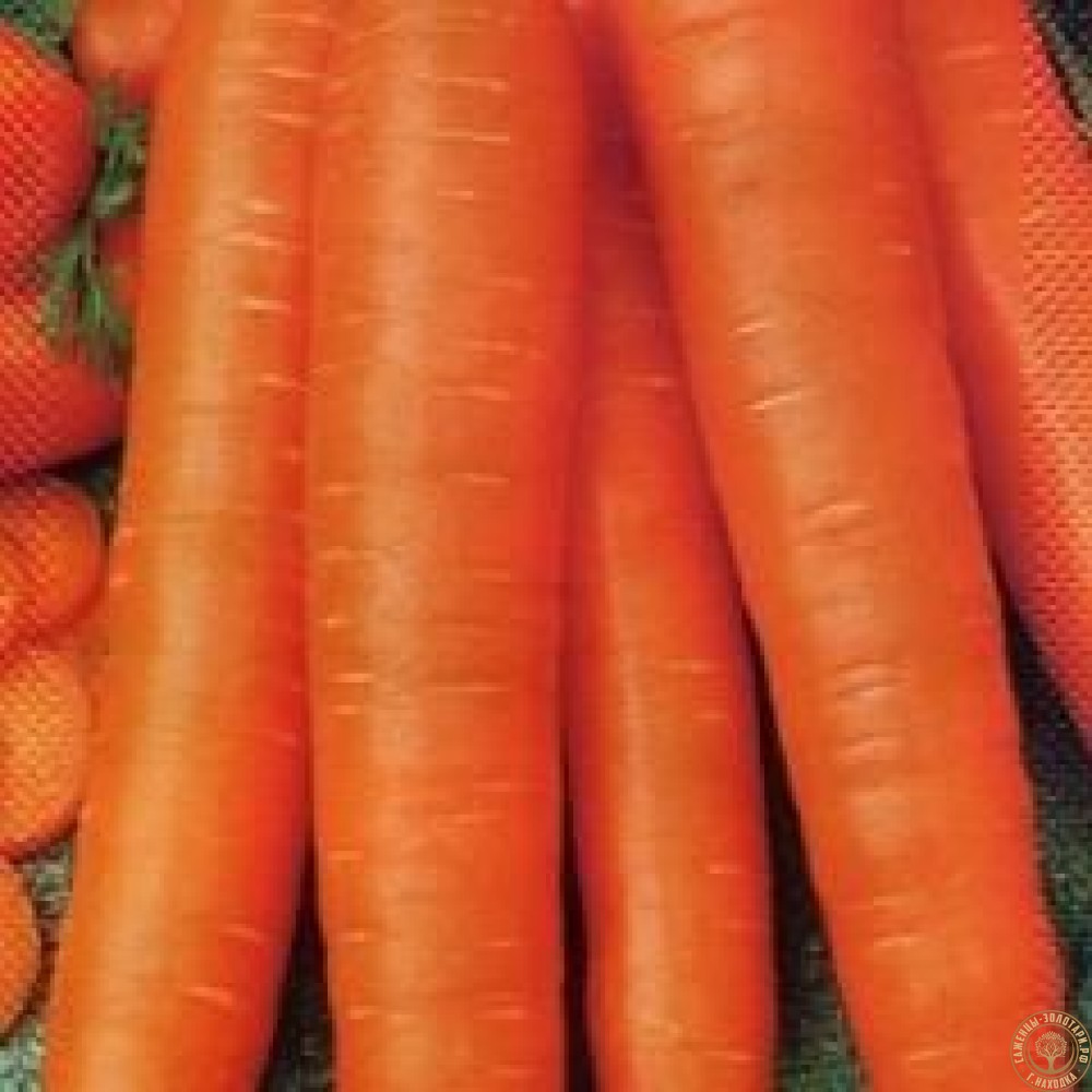 Семена морковь Супер Мускат 0,2г